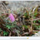 영남알프스 복합웰컴센터 이미지