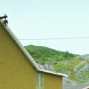 괴정2동-18 이미지