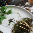 윤희네농장 이미지