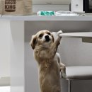 부흥철물 이미지