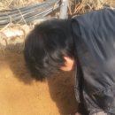 한누리농장 이미지