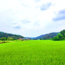 고령 다산과 성주 용암면 경계에 야산 배만재봉 / 장군석봉 이미지