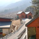 면온리_마을진입로_061 | 구례 산수유자연휴양림 예약 방법과 요금 실제 후기 총정리