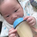 천도체육관 이미지