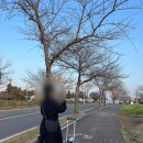 학연목장 | 수영처돌이들의 겨울제주(1)