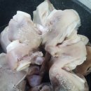 이정자농원 이미지