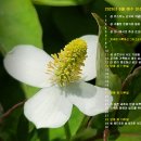 2026년 6월의 전례력이 들어있는 바탕화면입니다. 이미지