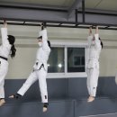 경희퍼펙트 유도관 이미지
