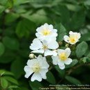 고향산촌 이미지