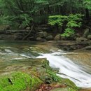 곡성-175 이미지