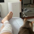 삼사슈퍼 | 고미새의 여름나기