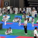 진스블랙벨트 태권도장 이미지