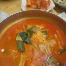 웰컴투노래연습장 | 고양이의 축복이 끝없이 흐르네