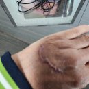 삼봉경로당 이미지