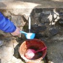 초록공원약수터 이미지