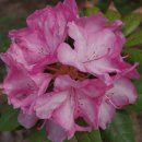 꽃집민박 이미지