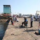 오이도종합어시장 이미지