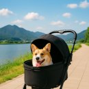 노블레스 세탁 | 로띠에 개모차 추천 노블레스돔R 반려견과의 외출 편하게!!