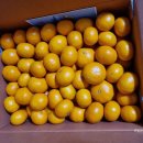 현수농장 이미지