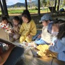 숲속꼬마어린이집 이미지