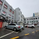 펀치복싱GYM 이미지