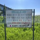 게이트볼장 입구 이미지