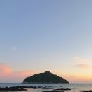 와이키키다이버스 이미지