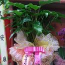 광성지역아동센터 이미지