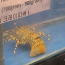 비치식당 | 다낭 해산물 식당 추천 미케비치 씨푸드 블랙펄 후기