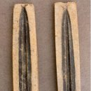 완주 갈동유적 이미지