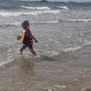 꽃지어울 이미지