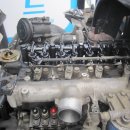 애니카랜드 화원점 이미지