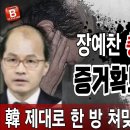 장예찬 충격폭로! 증거확보! 한동훈 제대로 한 방 쳐맞고 헛소리 난발! 빵시기TV﻿ 이미지