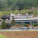 언덕나무펜션 이미지