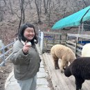 한티농장 이미지