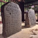 영천 청제비 이미지