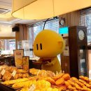 펄스트