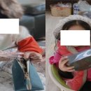 가스펠작은도서관 이미지