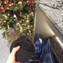 강지호 | 한티역 미용실 헤어더뷰 웨딩 촬영 염색 후기