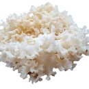 유에스팜 이미지