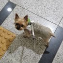 셀프사진관모노크롬스튜디오다산점 이미지