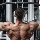 프로젝트핏 이미지