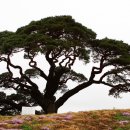 산솔마을 이미지