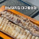 미성코다리찜 - 달성군 | 대구 월성동 맛집 하남돼지집 야구보면서 구워주는 고기집
