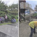 학사골