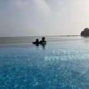 BOHENA(보헤나) 이미지