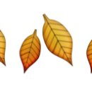 서울중광초등학교 이미지