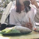 반디하우스캠핑장 이미지