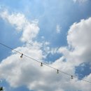 오리한국별관수완점 | [오리한국별관 수완점] 광주 수완지구 오리고기