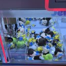 인형뽑기방 게임랜드 이미지